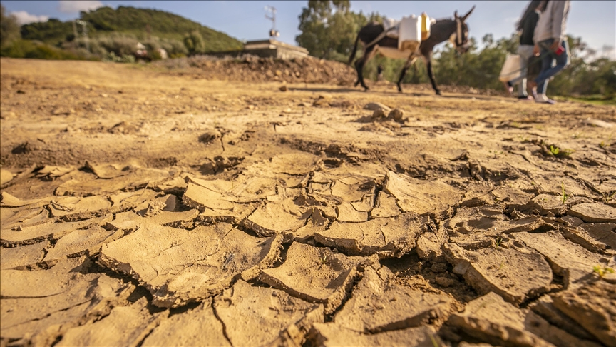 Tunisie : Le spectre de la sécheresse plane sur le pays