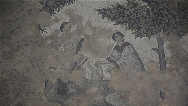 Aşil'in hayatı ve savaşçı Amazon kadınlarının mozaikleri Şanlıurfa'da sergileniyor