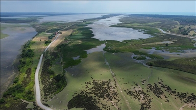 Küresel ısınma Kızılırmak Deltası'ndaki kuş varlığını da değiştirdi 