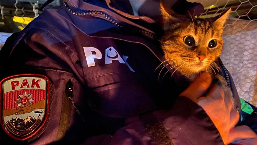 Depremde mahsur kalan kedi, polis tarafından iş makinesi yardımıyla kurtarıldı