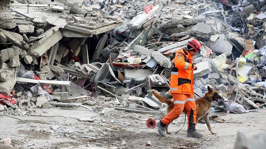 Rescue dogs central to rescue efforts in quake-hit southern Türkiye