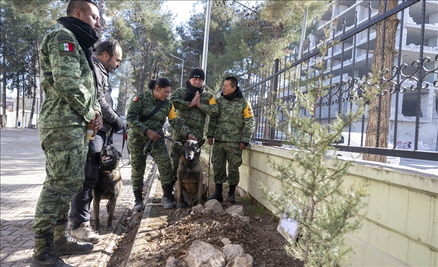 Spasioci iz Meksika se oprostili od Protea: Tokom akcija spašavanja uginuo pas tragač