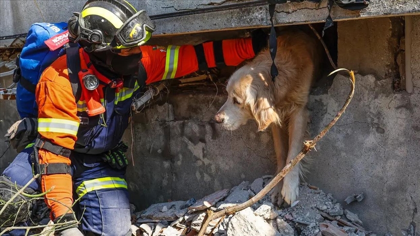 Portuguese rescue team saves dog after 200 hours under rubble in southern Türkiye