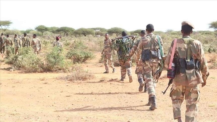 Somali army kills over 200 al-Shabaab terrorists, liberates large swaths of territory
