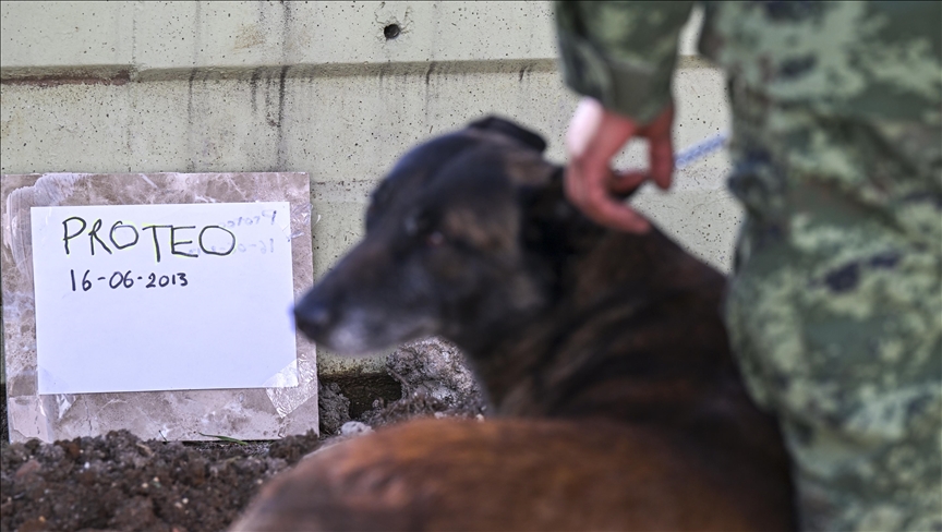 Late Mexican quake rescue dog Proteo immortalized in Turkish video game
