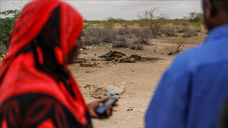 Severe drought to leave over 5M Kenyans hungry in March-June