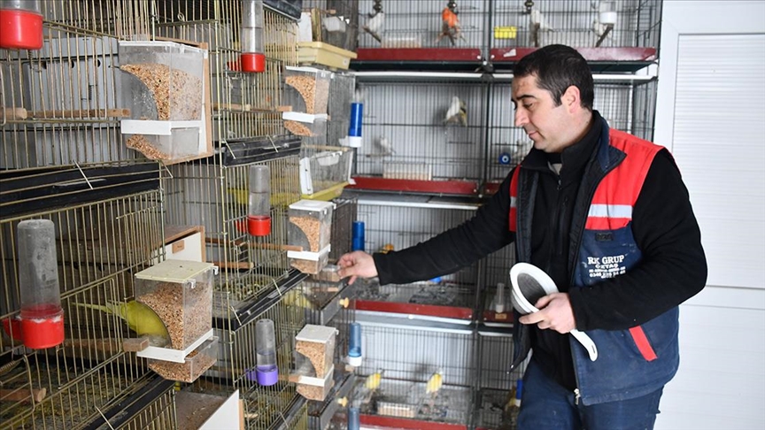 Depremzede arkadaşlarının emaneti 103 kuşu atölyesinde besliyor