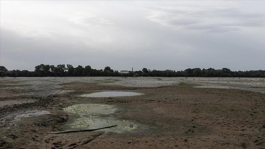 Novi talas suše pogodio sjever Italije, ugrožena proizvodnja riže