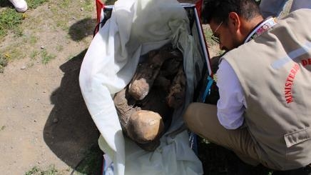 Man arrested in Peru for carrying ancient mummy in his cooler bag