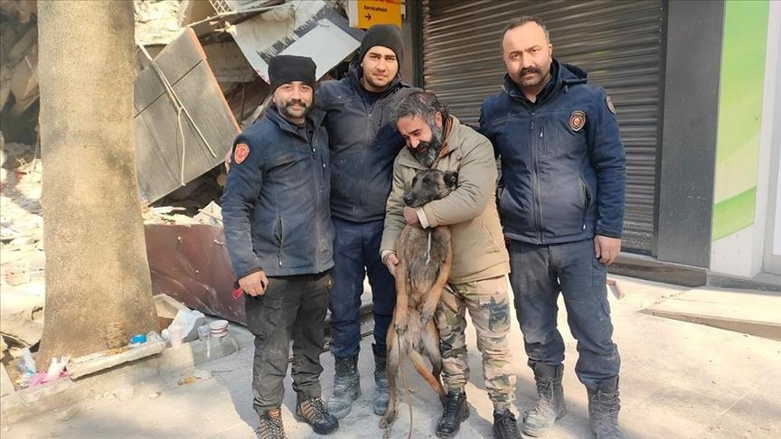 Алекс побил рекорд Emotional reunion as quake survivor hugs rescue dog despite fear