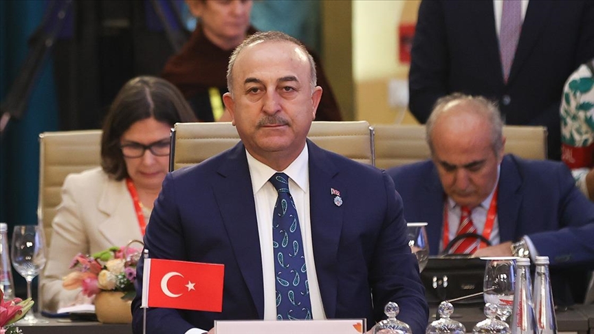 Multilateralism ideal response to shifting global system: Turkish foreign minister