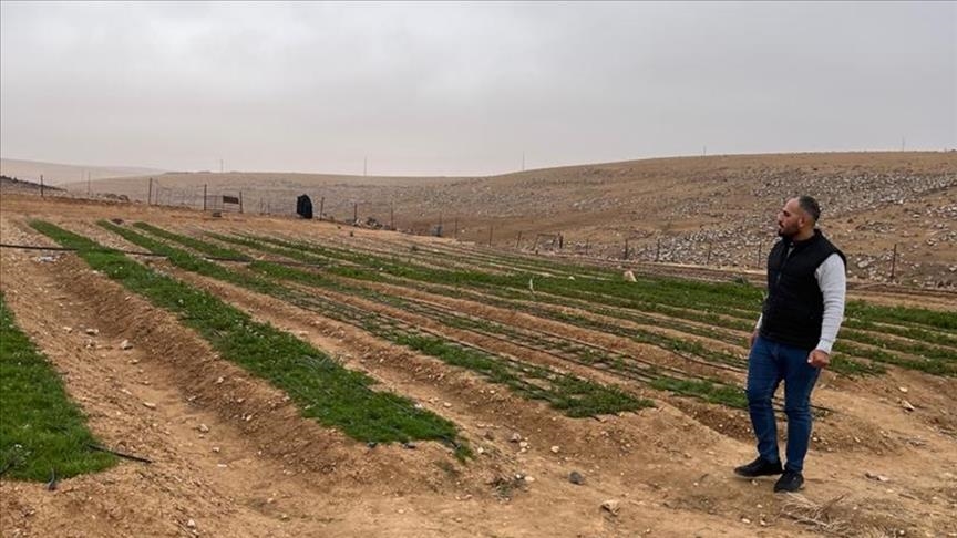 Bishr Al-Dhénibet…Un jeune Jordanien sauve le safran de Moab de l'extinction (Success story)