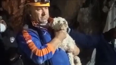 یک سگ پس از 25 روز از زیر آوارهای زلزله نجات یافت