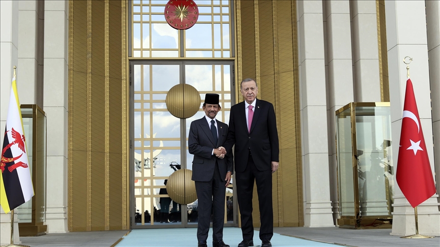 Turkish president meets Brunei Darussalam's sultan in Ankara for talks