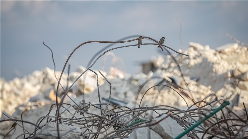UNRWA launches $16M appeal for Palestinian refugees impacted by Türkiye-centered quakes