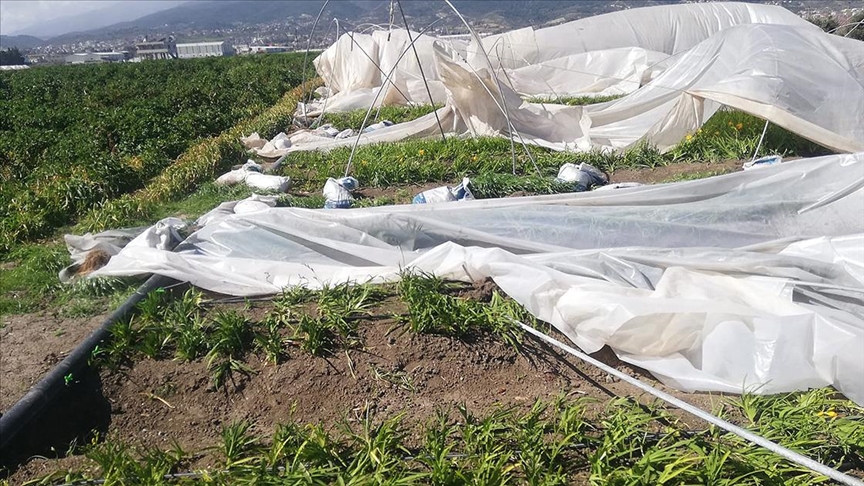 Fırtına Hatay'da depremzedelerin seralarına zarar verdi