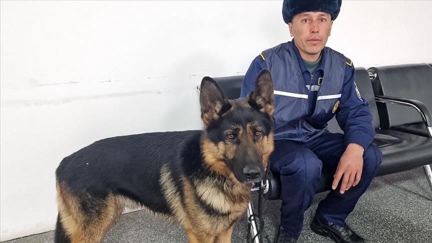 Dogs in Uzbek team played crucial role during search, rescue operations in quake-hit Türkiye