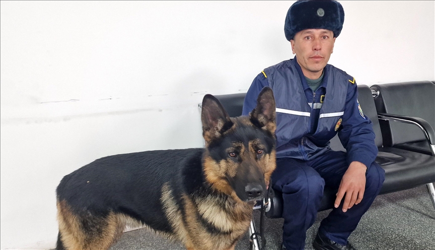 Собаки-спасатели из Узбекистана внесли вклад в спасение людей в Турции