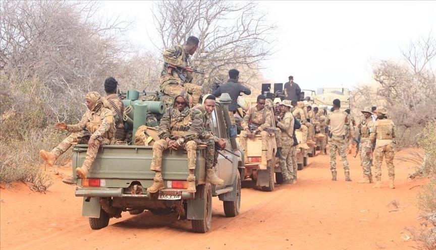 Somalie: 13 membres d'al-Shabab et de Daesh exécutés