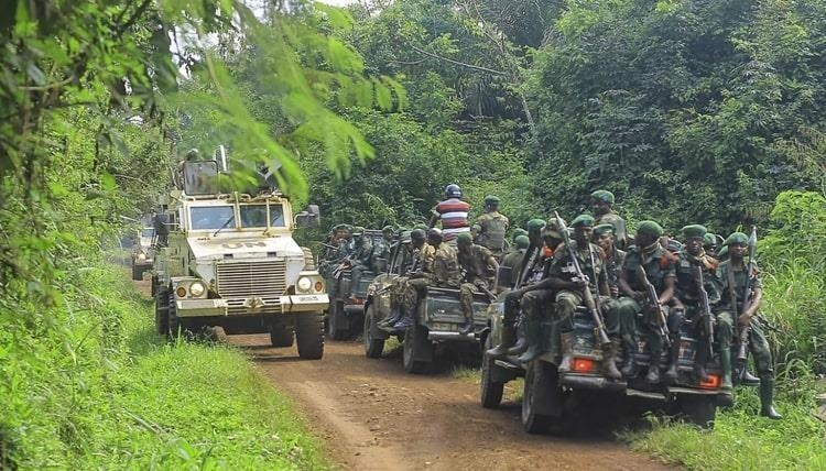 Est de la RDC : le bilan du massacre des civils à Beni passe à 44 morts