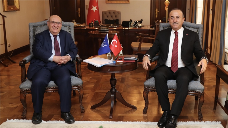 Чавушоглу поблагодарил гендиректора МОМ за солидарность с Турцией