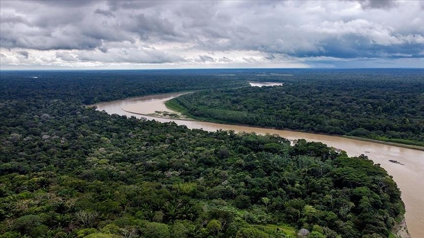 Record deforestation in Brazil's Amazon for February: Agency