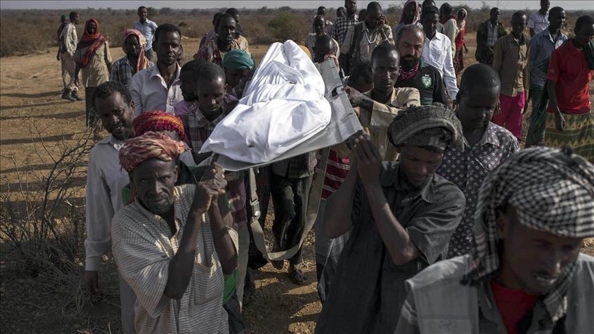 الأمم المتحدة: وباء الكوليرا "مقلق" في 11 دولة إفريقية