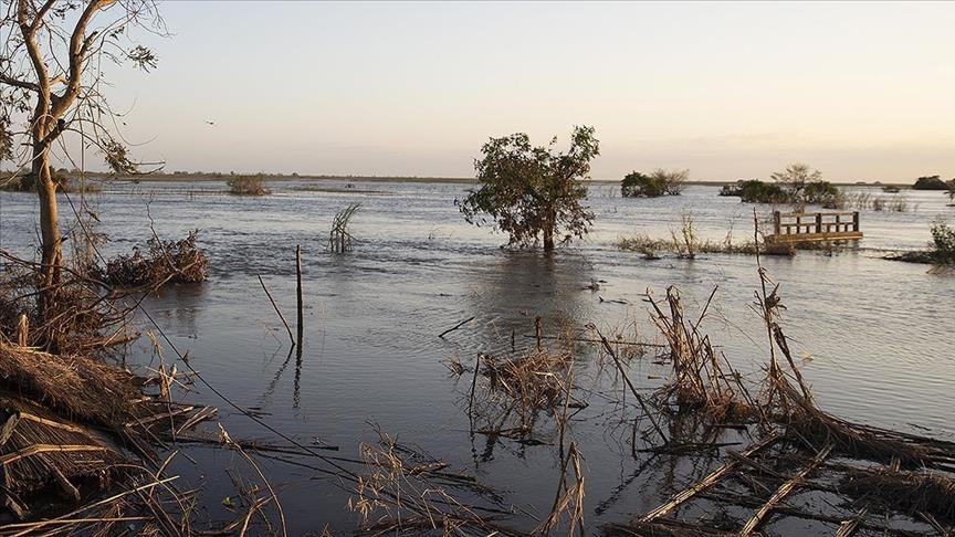 Cyclone Freddy death toll exceeds 300 in Southern Africa