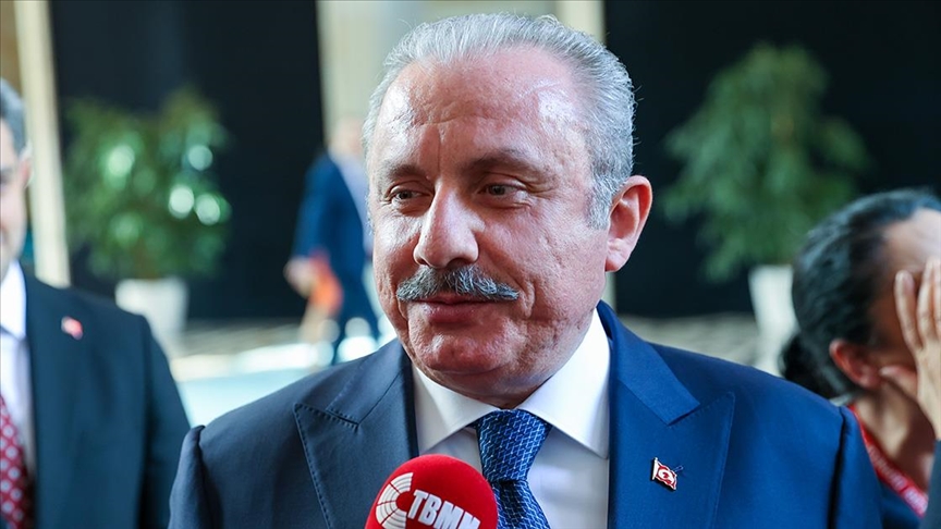TBMM Başkanı Şentop'tan "Kürtçe'nin tutanaklarda 'bilinmeyen dil' olarak yazıldığı" iddiasına cevap