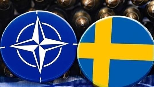 Türkiye leaves door open to Sweden's NATO bid: Turkish presidential spokesperson