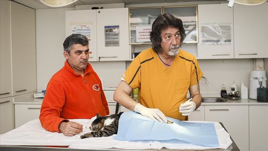 Stem cell therapy provides high success rate in paralyzed animals: Turkish vet