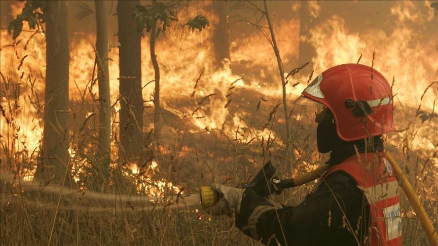 İspanya'da yılın ilk büyük orman yangını 4 bin 600 hektarlık alanı kül etti