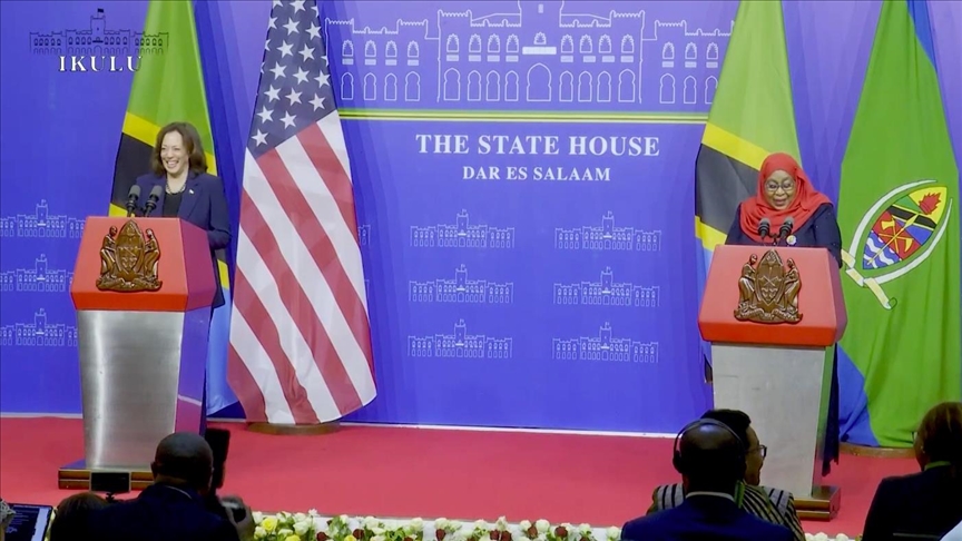 US vice president hails Tanzania’s leader as ‘champion of democracy’