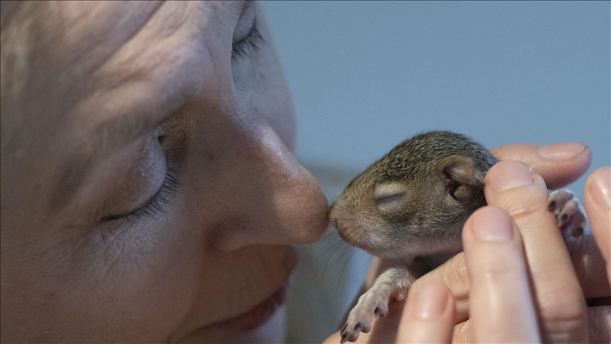 UK mother dedicates her life to squirrels for well-being of autistic son