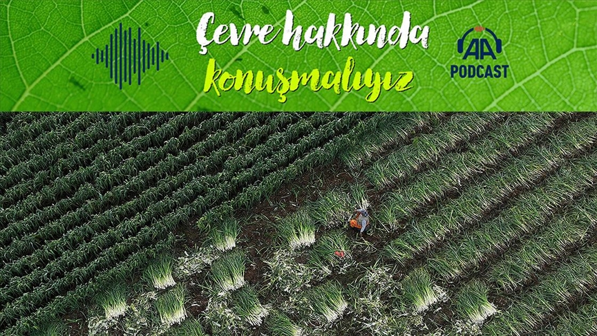 İklime dayanıklı tarım nedir? Üretim nasıl dönüştürülmeli?