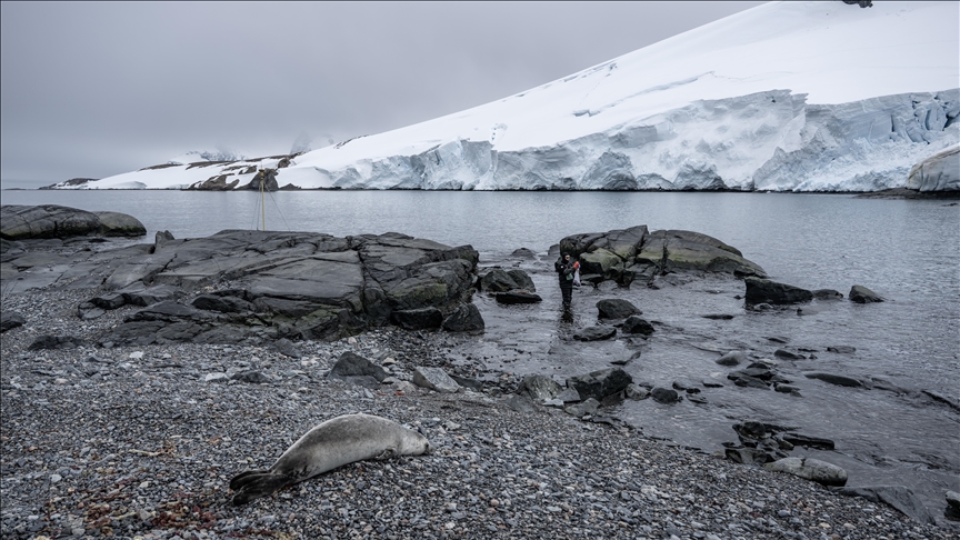 Antarctica becomes laboratory of Turkish scientists at South Pole