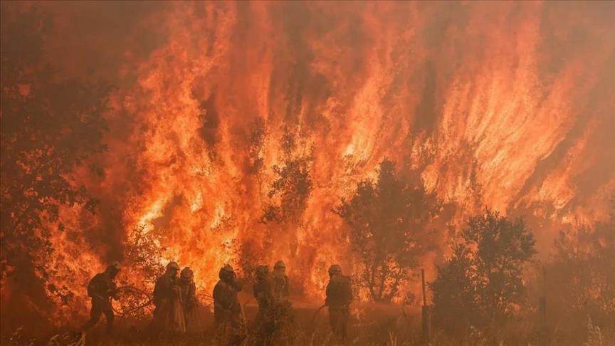 إسبانيا: إرهابيون حرقوا 11 ألف هكتار من الغابات شمالي البلاد