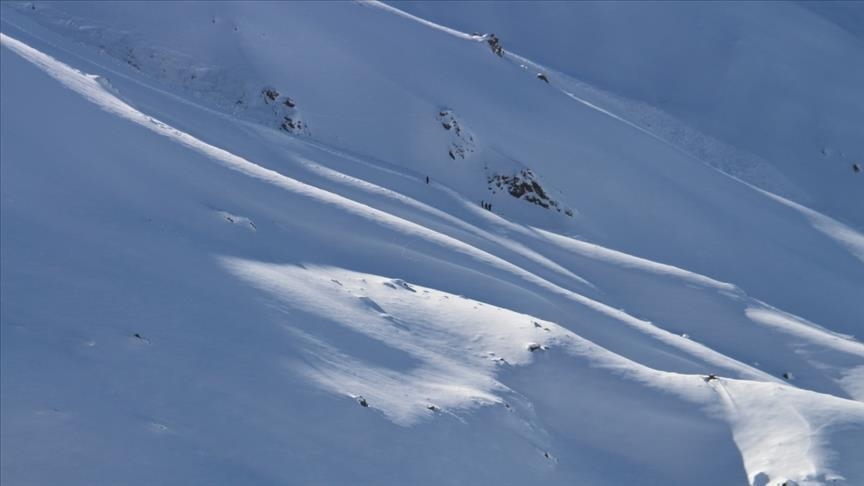 Avalanche situation in northern Norway still critical after 4 fatalities