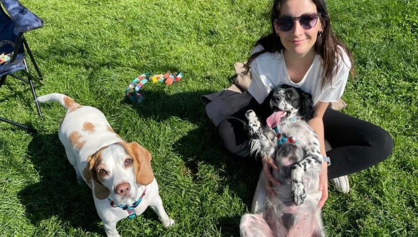 Lack of neutering procedures number 1 problem for stray animals in Türkiye