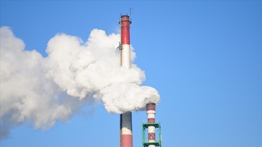 Nigeria: le fonds souverain et le groupe Vitol lancent une entreprise pour investir dans l'élimination du carbone