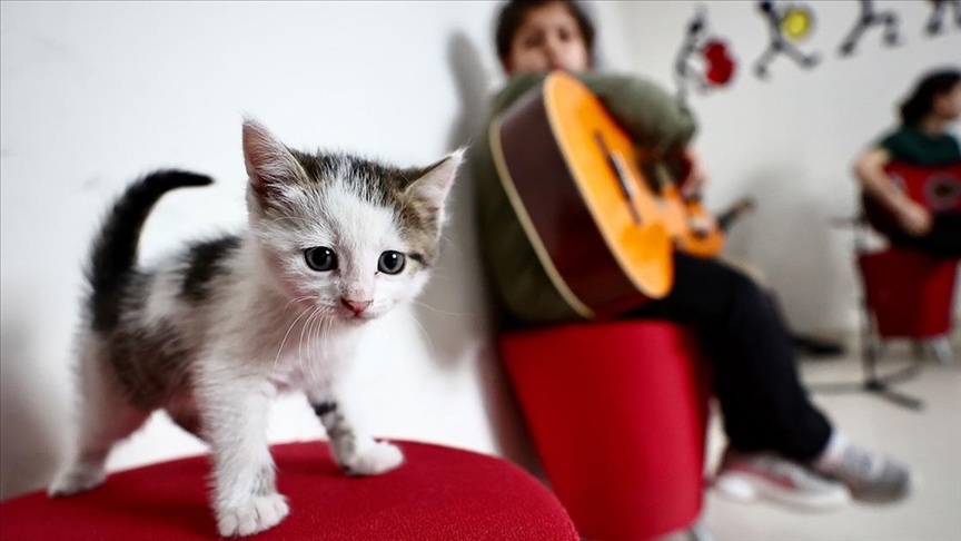 Gençlik Merkezinin sahiplendiği kedi "Karamel" ile 4 yavrusu öğrencilere neşe kaynağı oldu