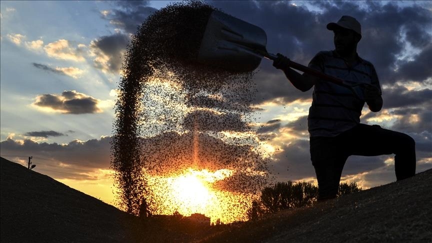 تركيا.. نمو صادرات البقوليات إلى روسيا 586 بالمئة في مارس
