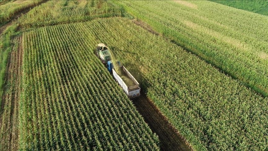 Türkiye : Le secteur privé augmentera ses investissements agricoles à l'étranger avec des "bureaux pays"