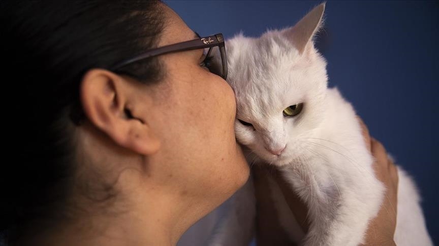 Hulumtim: Kafshët shtëpiake janë një nga motivimet më të mëdha për të lënë duhanin