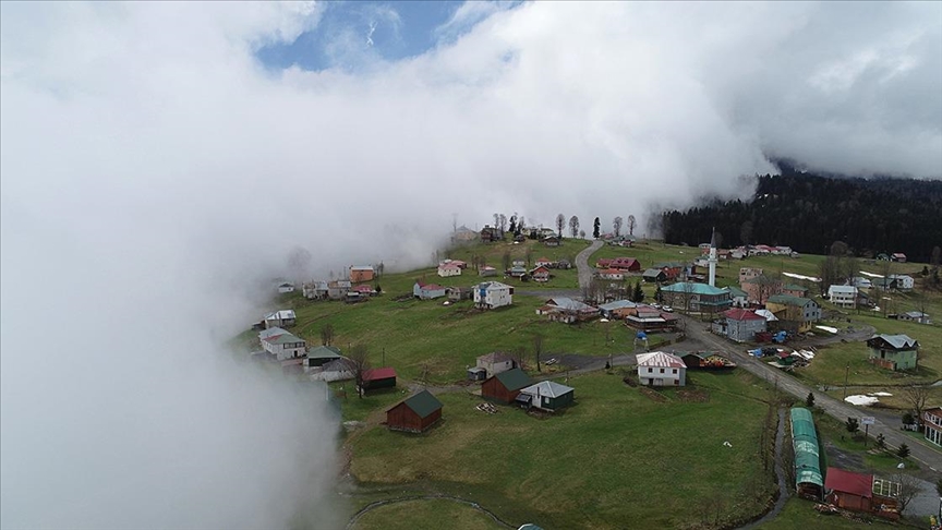 Bulutlara komşu Hıdırnebi Yaylası'nda baharda yeşilin her tonunu görmek mümkün