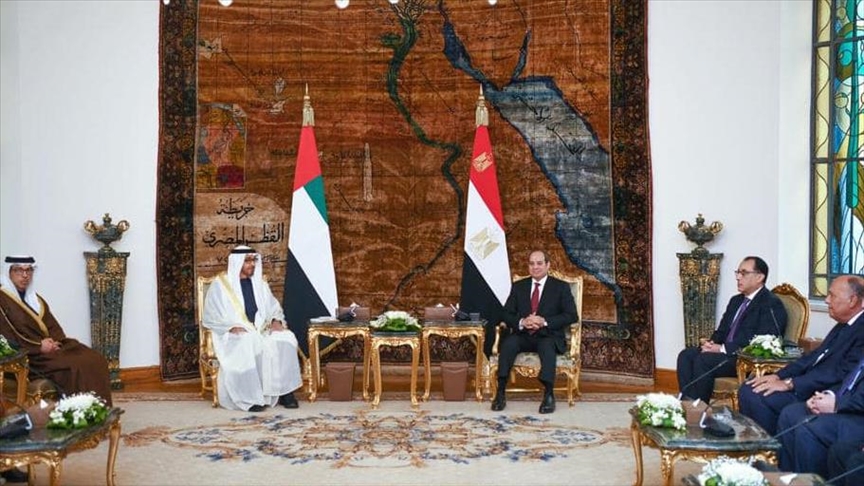 رئيسا الإمارات ومصر يبحثان "رؤية تعزيز استقرار المنطقة"
