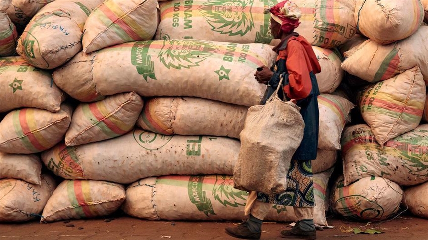 ООН: из-за внешнего долга и инфляции развивающиеся страны потеряют $800 млрд