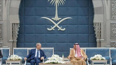 Saudi Arabia, Syria welcome resumption of consular services