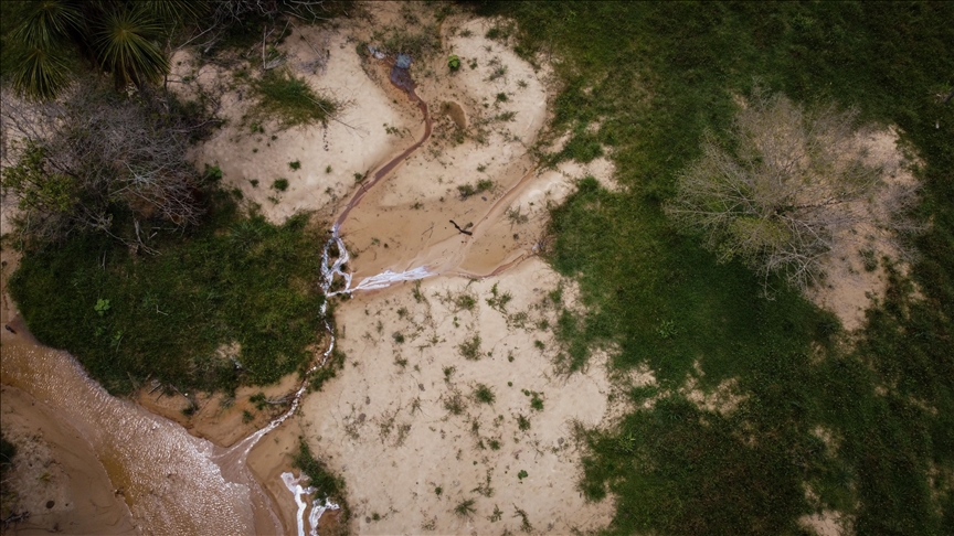 ¿Cómo la deforestación y el conflicto armado se exacerban mutuamente en el Caquetá, Colombia?