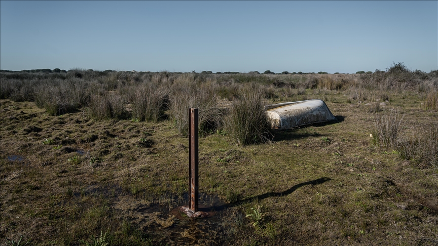 Spanish Drought Intensifies As Water Reserves At Just 50   Thumbs B C Cc116df5ea7de7b3a8e8420af4aa0154 